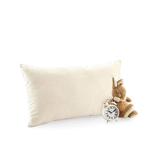 W350 Fairtrade Cotton Canvas Cushion Cover